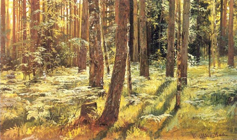 Ivan Shishkin Ferns in a Forest china oil painting image